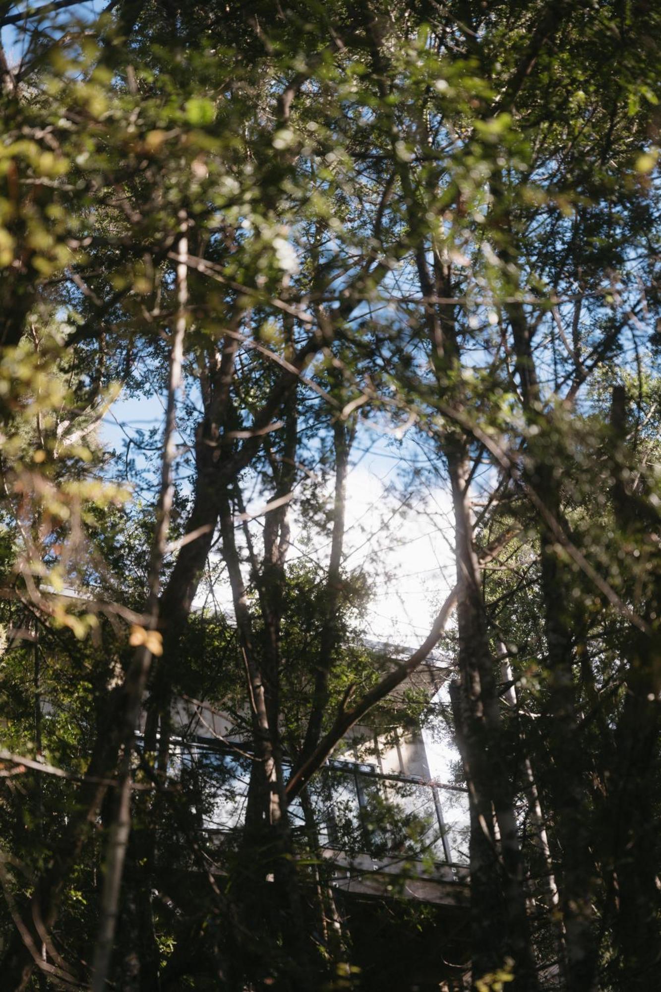 Treetop Tranquility At Rekindle Tree Houses Opua Exterior foto