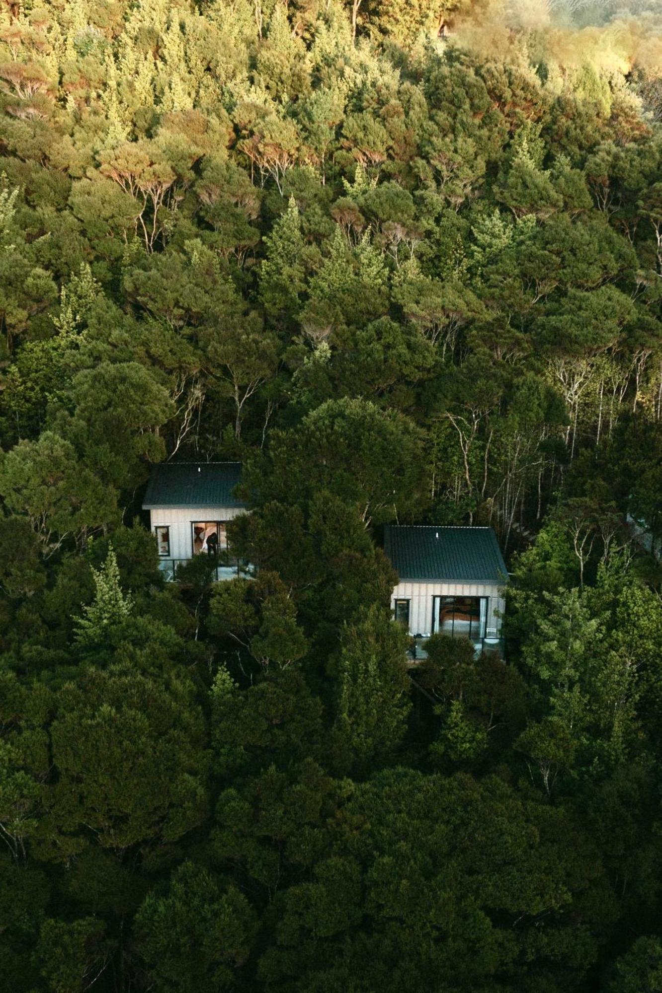 Treetop Tranquility At Rekindle Tree Houses Opua Exterior foto